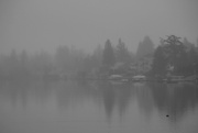 1st Jan 2014 - Another Foggy Day