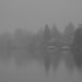 Another Foggy Day by nanderson