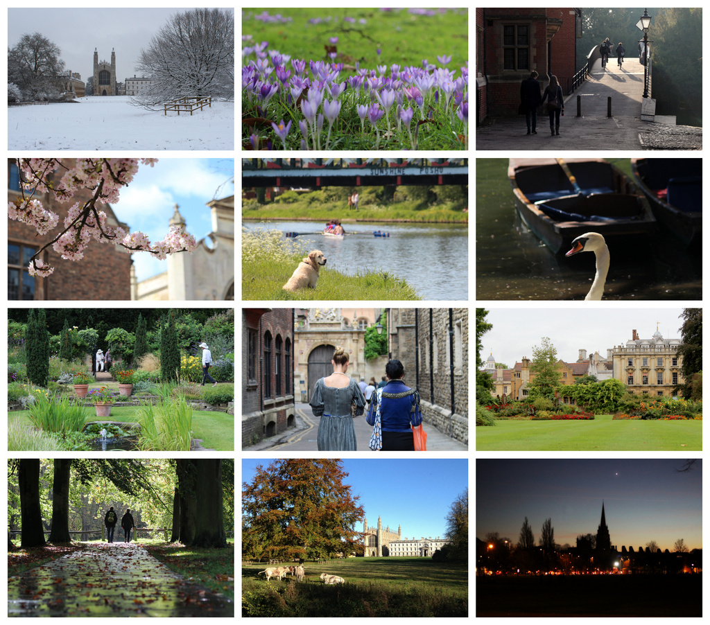 A year in Cambridge by judithg