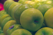 28th Dec 2013 - Granny Smith