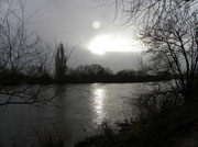 1st Jan 2014 - River Trent at Attenborough Nature Reserve