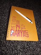1st Jan 2014 - So many blank pages