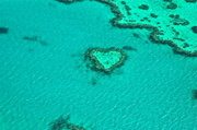 26th Dec 2013 - Great Barrier Reef
