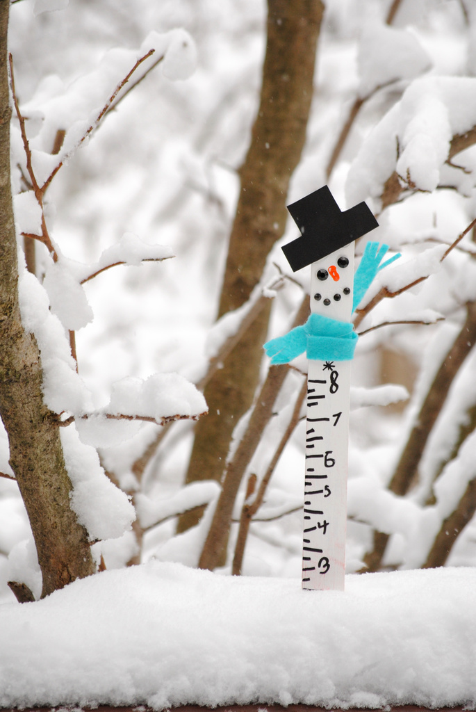 Snow Measuring Stick by alophoto