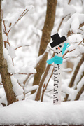 2nd Jan 2014 - Snow Measuring Stick