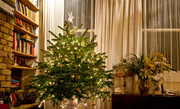 2nd Jan 2014 - Homely Christmas Tree