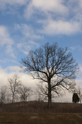 30th Dec 2013 - Winter Skies