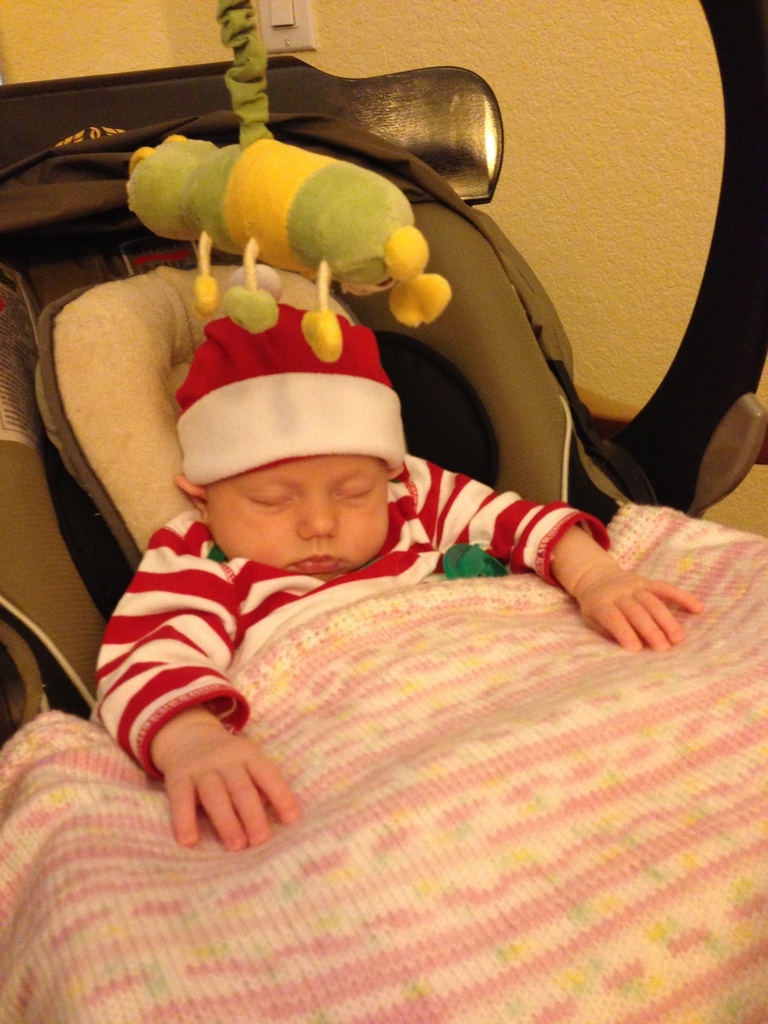 Sleeping through her first Christmas dinner by doelgerl