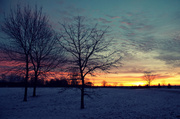 2nd Jan 2014 - Cold Morning Sunrise