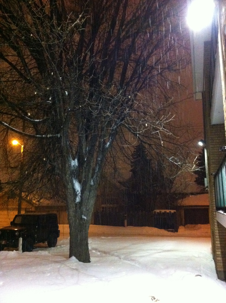 A Snowy  Night by bkbinthecity