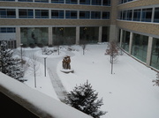 2nd Jan 2014 - Courtyard in winter