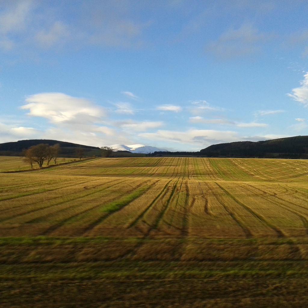 looking west from the train by sarah19