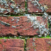 old bricks by sjc88