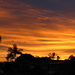 Brunswick Sunset by mozette