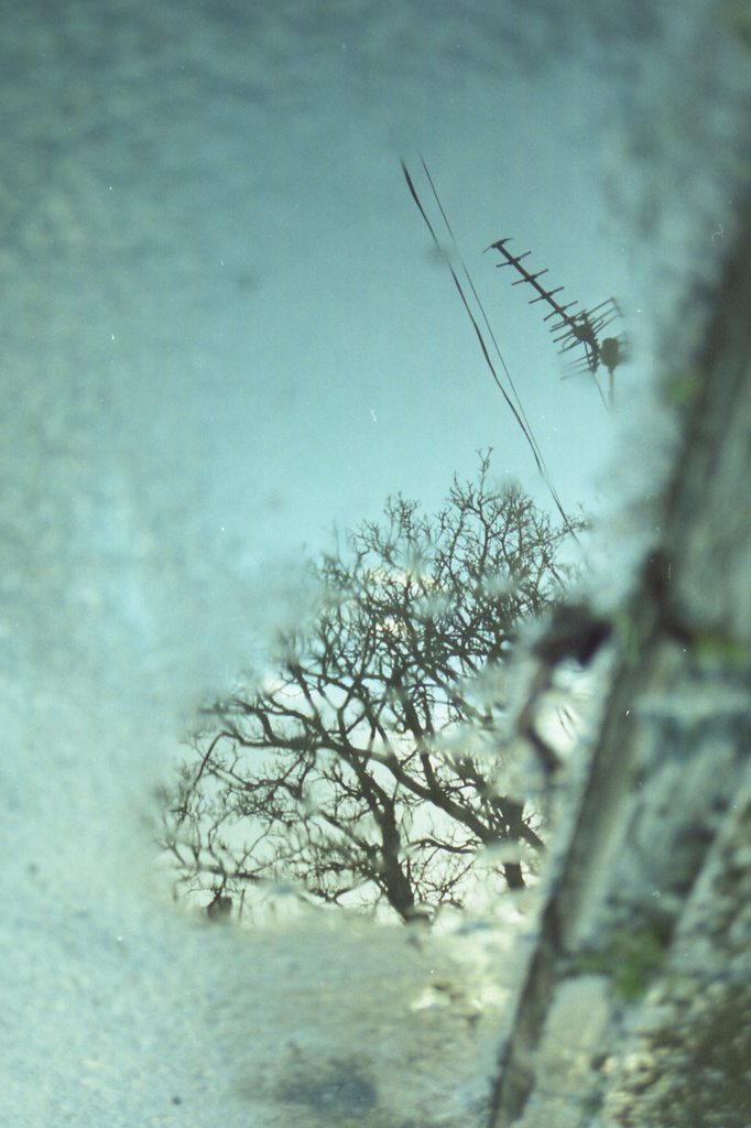 tree and aerial by ingrid2101