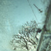 tree and aerial by ingrid2101