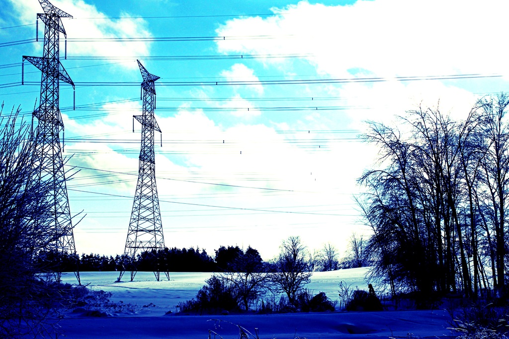 winter wires by edie