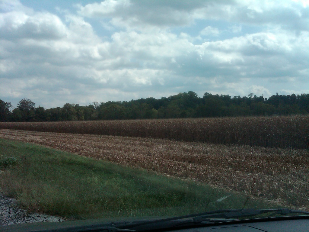 Indiana Cornfields by graceratliff