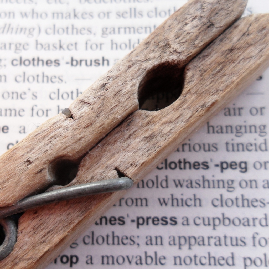 clothes peg by shannejw