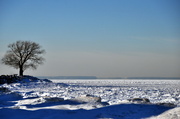 4th Jan 2014 - Ice on Lake Ontario