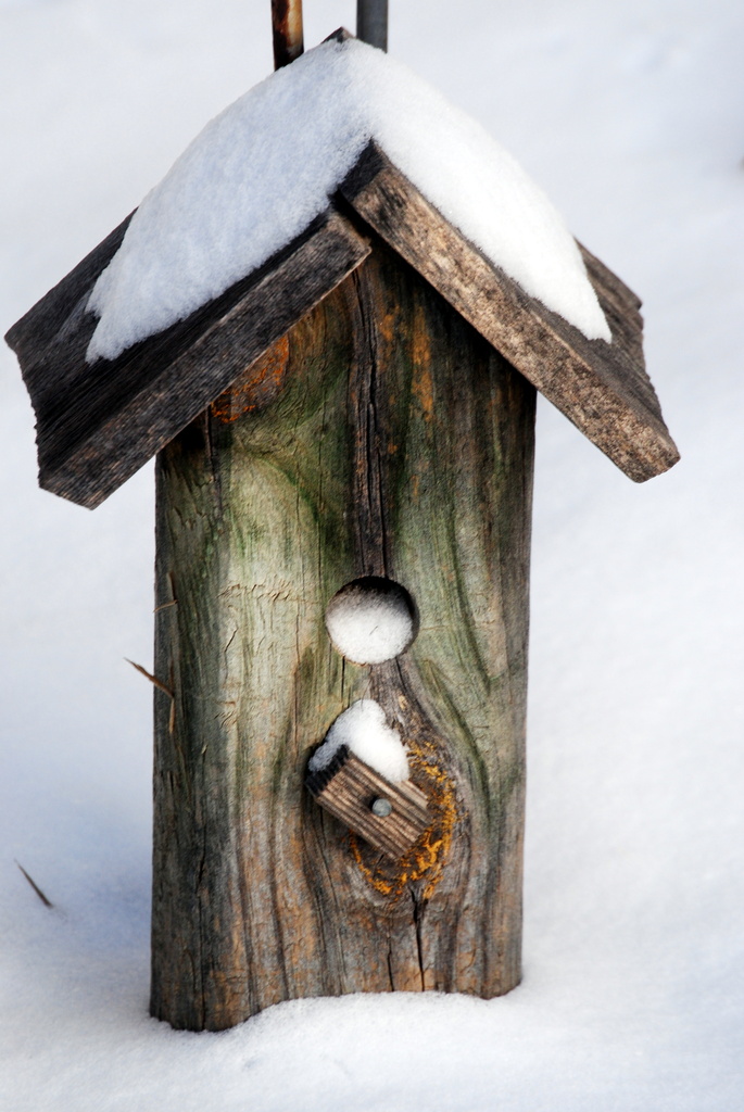 Winter Birdhouse by genealogygenie