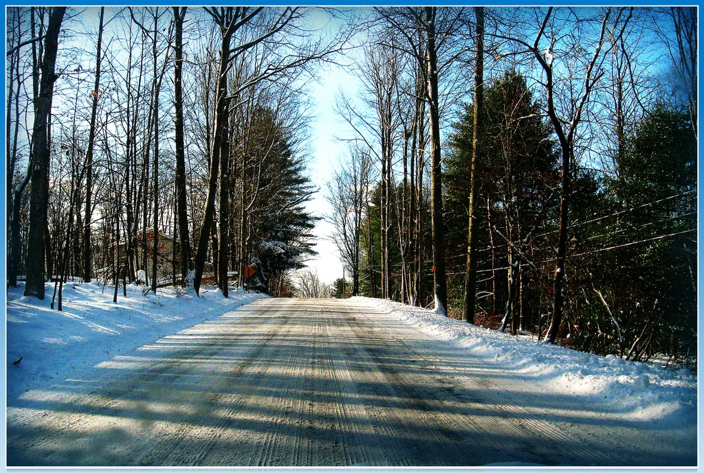 Snowy Road by olivetreeann