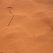 A sample of the Simpson Desert by marguerita