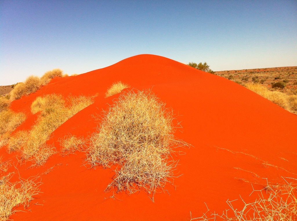 Nice sand dune! by marguerita