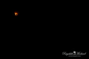 2nd Jan 2014 - Lantern