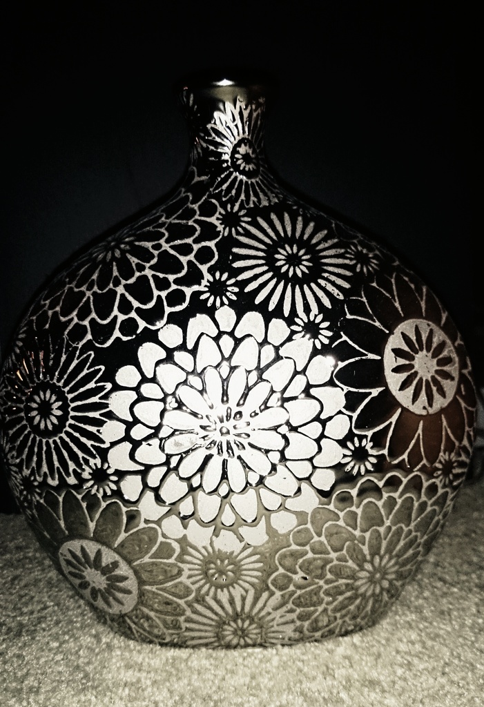 silver vase by dianeburns