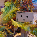 Danbo's Diary - Jan 4: I'll carry your... salad by justaspark