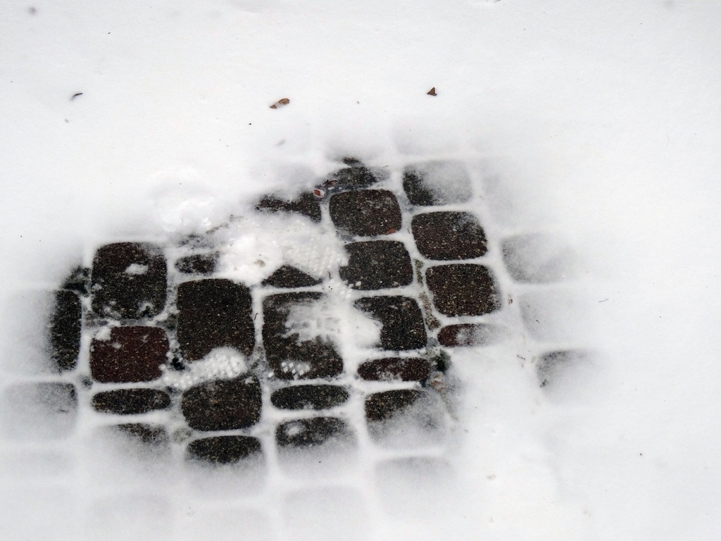 Day 214 Snow Bricks by rminer