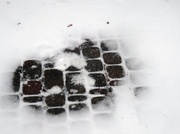 4th Jan 2014 - Day 214 Snow Bricks