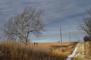 4th Jan 2014 - Kansas Winter Scene