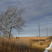 Kansas Winter Scene by kareenking