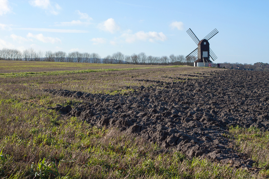Mill field and windmill, January by dulciknit