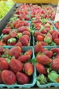4th Jan 2014 - Strawberries at the Farmer's Market