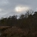 Marsh and woodlands, Caw Caw Park, Charleston County, SC by congaree