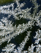 3rd Jan 2014 - Ice Crystals