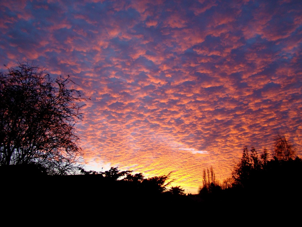 Morning Sky by bulldog