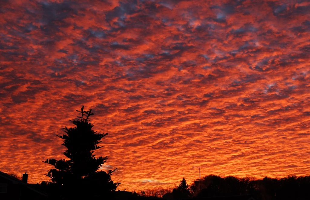 "Red sky in the morning, shepherd's warning" by quietpurplehaze