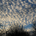 Sky by richardcreese
