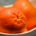 Orange by dora