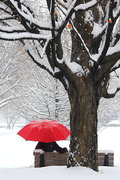 5th Jan 2014 - Winter and the red umbrella!