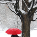 Winter and the red umbrella! by fayefaye