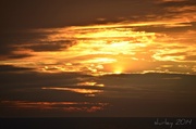 1st Jan 2014 - Gulf sunset