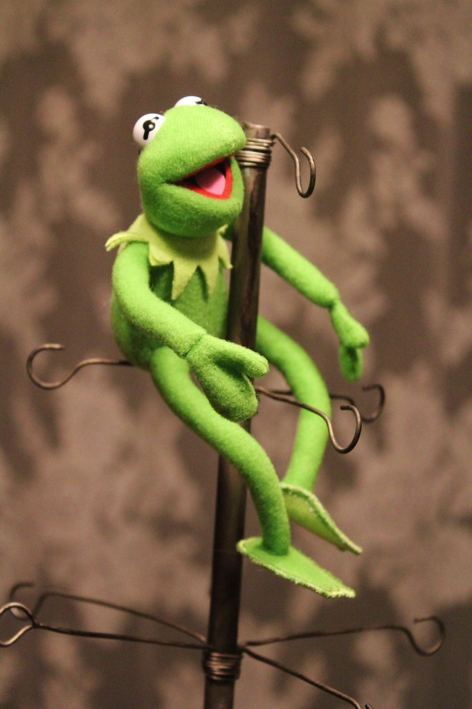 Kermit atop! by edorreandresen