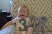 5th Jan 2014 - Three months old today!