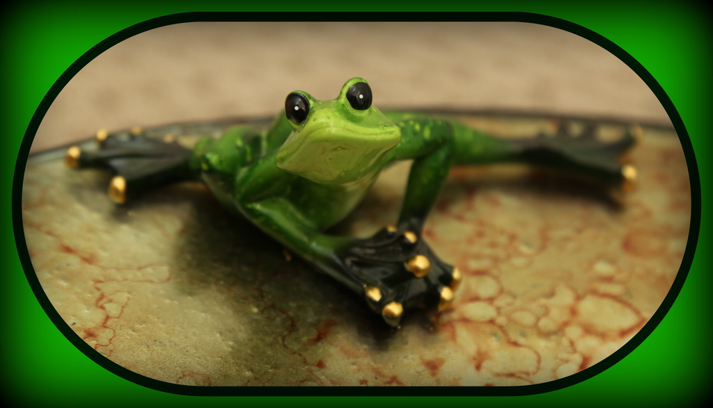 Frog by dide