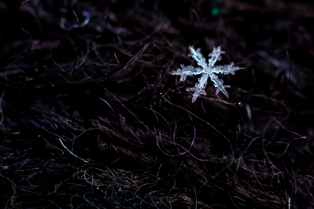 Small Snowflake by rayas